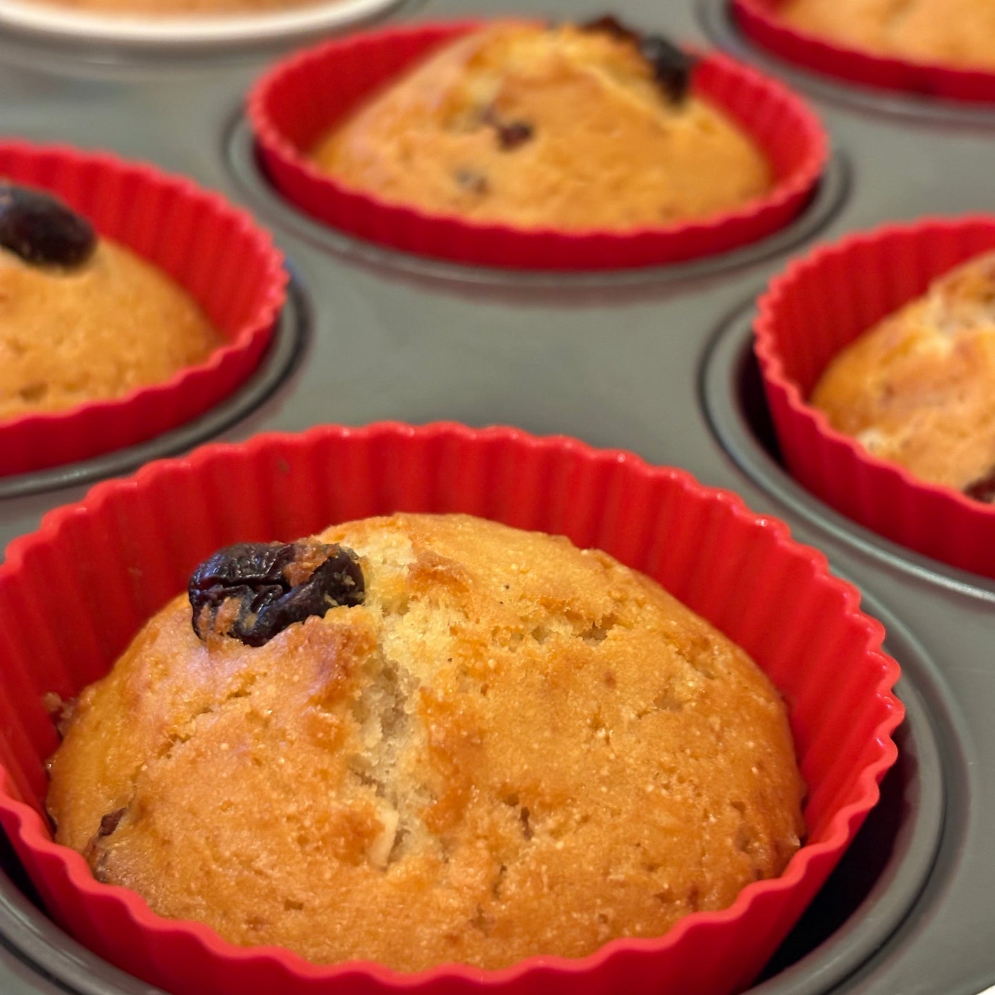 Preparato per 12 Muffin ai Mirtilli - SENZA GLUTINE -